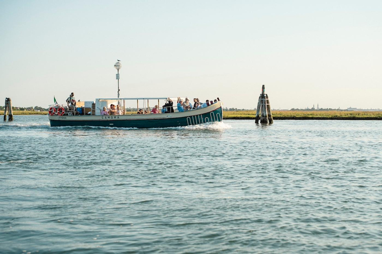Murano, Burano, Torcello Day Tour by Classic Venetian Boat Tour in Spanish - Murano & Burano
