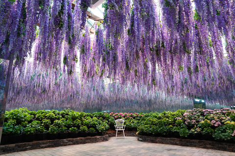 Gyeonggi Begonia Bird Park Ticket