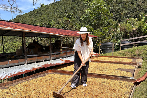 Medellín: 2-Day Jardín and Tapartó Tour with Accommodation