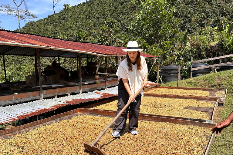 Medellín: 2-Day Jardín and Tapartó Tour with Accommodation