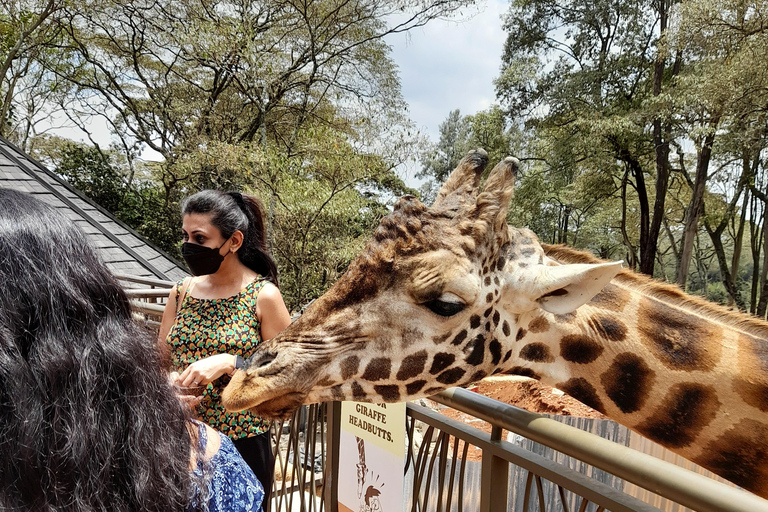 Game Drive i Nairobi nationalpark vid soluppgången