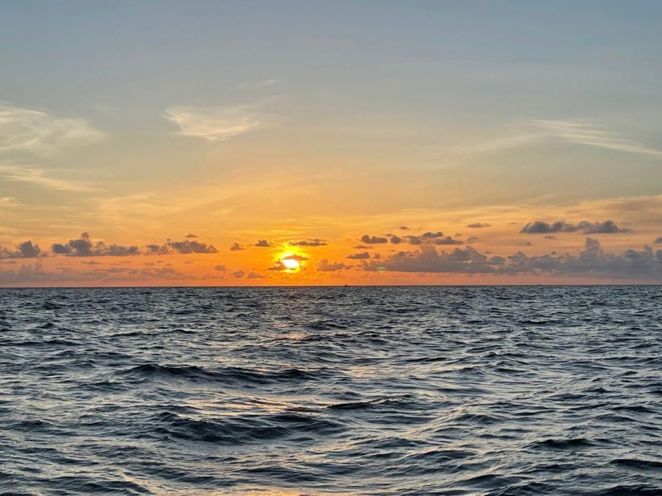 Tampa Bay: Kreuzfahrt bei Sonnenuntergang mit Celebrity Homes and Wildlife