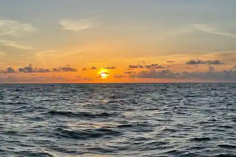 Baía de Tampa: Cruzeiro ao pôr do sol com a Celebrity Homes and Wildlife