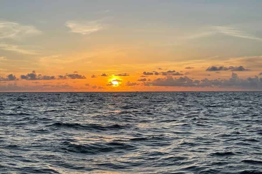 Tampa Bay: Kreuzfahrt bei Sonnenuntergang mit Celebrity Homes and Wildlife. Foto: GetYourGuide