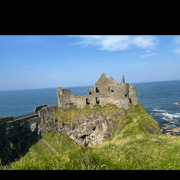 From Belfast: Giant's Causeway and Dark Hedges Day Tour From Belfast: Giant's Causeway and Dark Hedges Day Tour