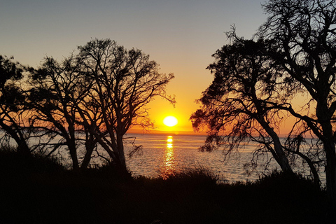 Erskine: Sunrise Yoga Hike with Morning Tea