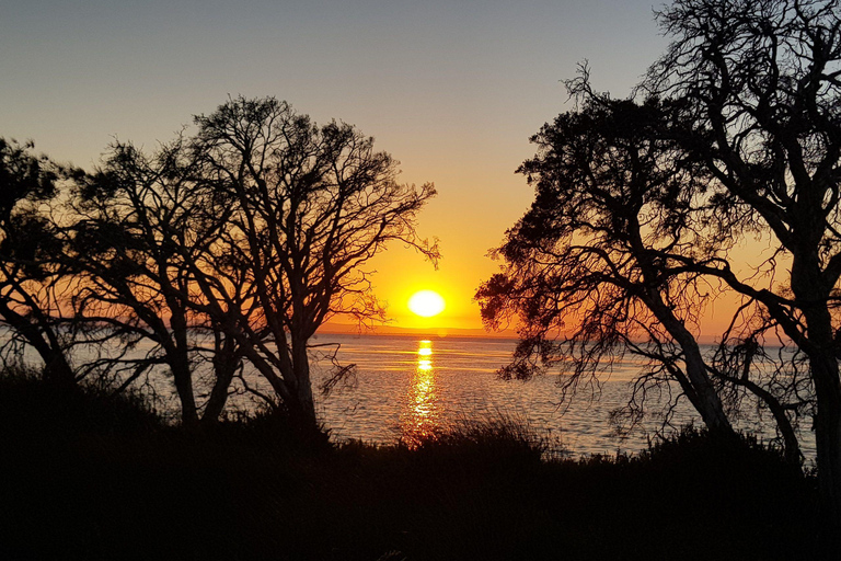 Erskine Excursión de Yoga al Amanecer con Té Matutino