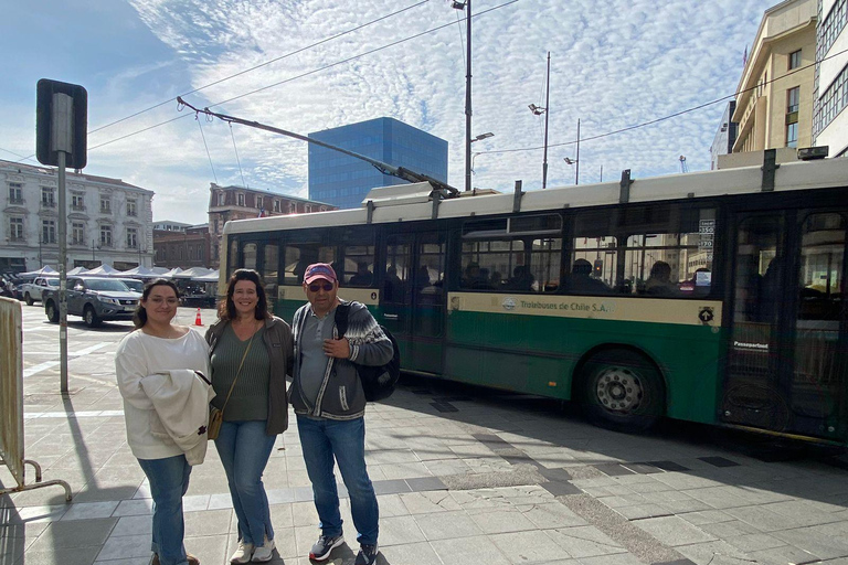 Casas del Bosque: Private Tour with Food Tasting/Lunch + Viña del Mar/Valparaiso