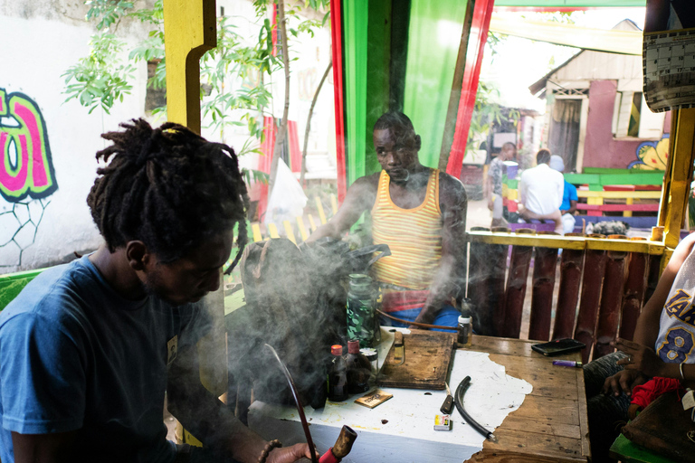 Negril: Ultimate West Coast Adventure & Local Guided Trip