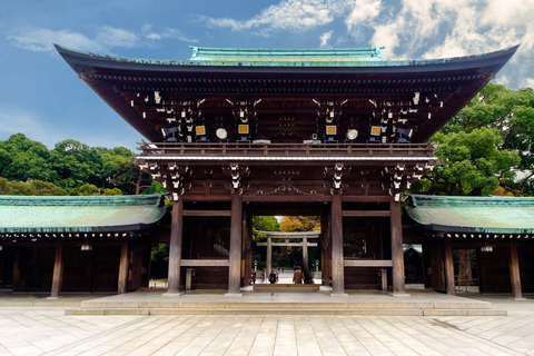 Tour panoramico privato di Tokyo con autista parlante ingleseTour privato di Tokyo di un giorno intero con autista parlante inglese