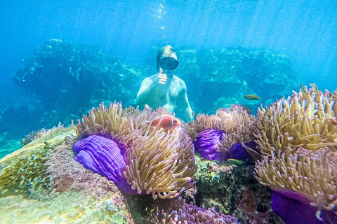 Ko Tao: Vintage Boat-Small Group Snorkeling Day Trip w/Meals
