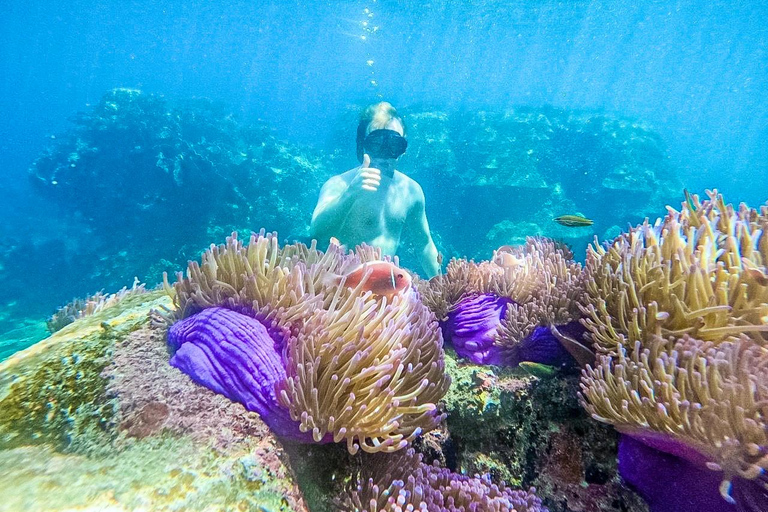 Ko Tao: Vintage Boat-Small Group Snorkeling Day Trip w/Meals