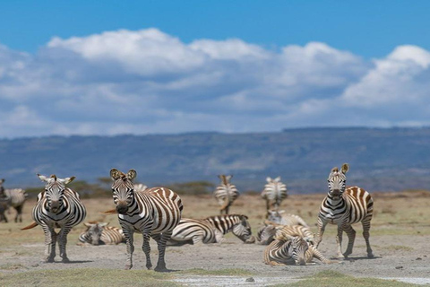 5-Day Kenya Classic: Mara, Lake Nakuru & Amboseli in Jeep