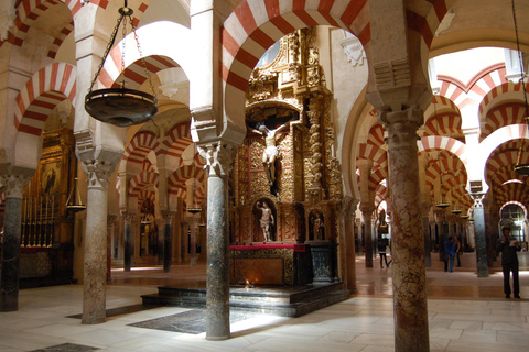 Mezquita 1 timme privat tur