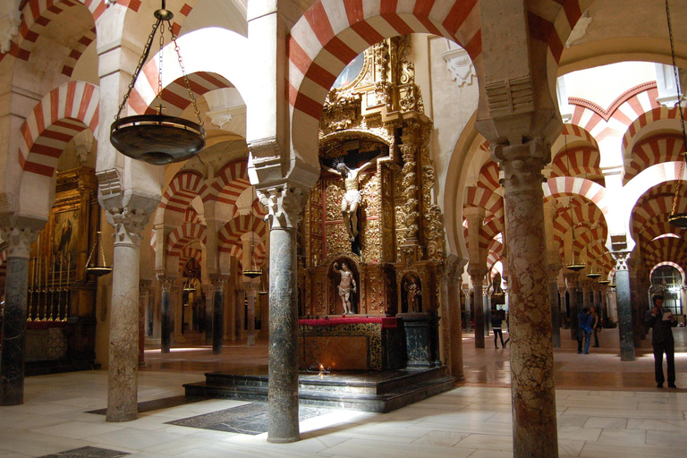 Mezquita 1 Hour Private Tour