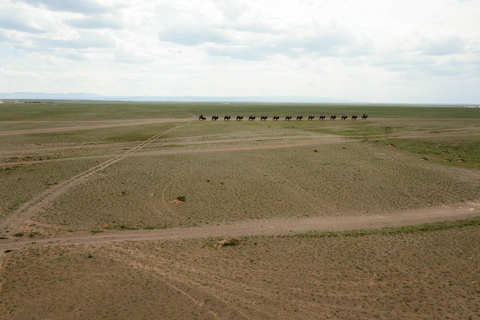 16-Day Mongolia Adventure: Gobi, Central & Khuvsgul Lake