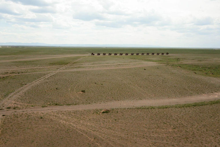 16-Day Mongolia Adventure: Gobi, Central & Khuvsgul Lake