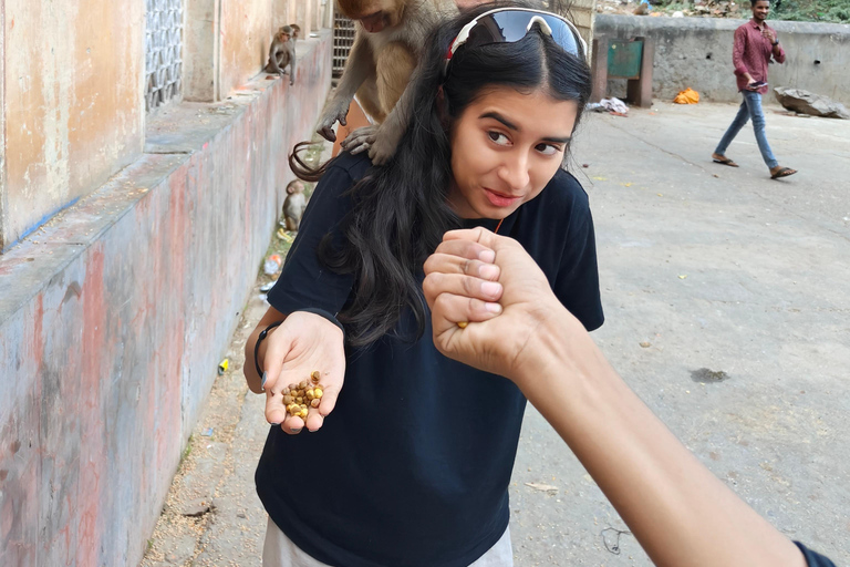 Visite de la ville de Jaipur et du temple des singes en véhicule climatisévisite d'une journée de 2 jours à jounée avec le temple des singes