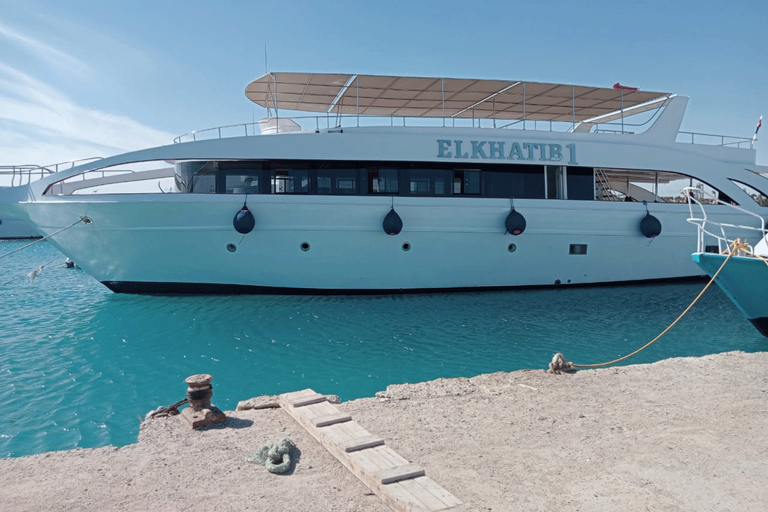 Hurghada: Excursão de mergulho com golfinhos e recifes de coral com almoçoPasseio de barco para observação de golfinhos com snorkeling e almoço