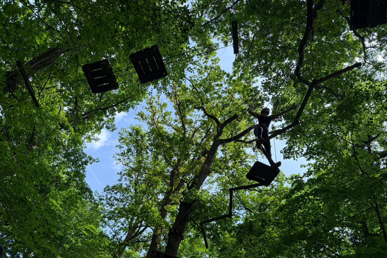 Kelkheim: Outdoor climbing experience in the forest ropes course with circuit and zip lines
