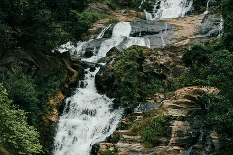 Sri Lanka: 9-Day Honeymoon Tour with Accommodation