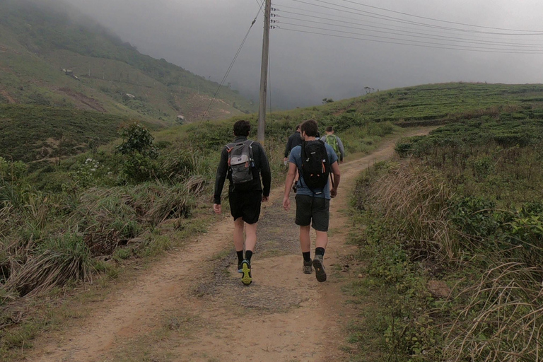 Kandy: Waterfalls and Local Village Day Tour with Lunch