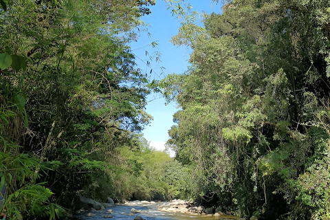 MEDELLIN: DAWN GARDEN TOUR WITH VISIT TO BETANIA - 2 DAYS AND 1 NIGHT