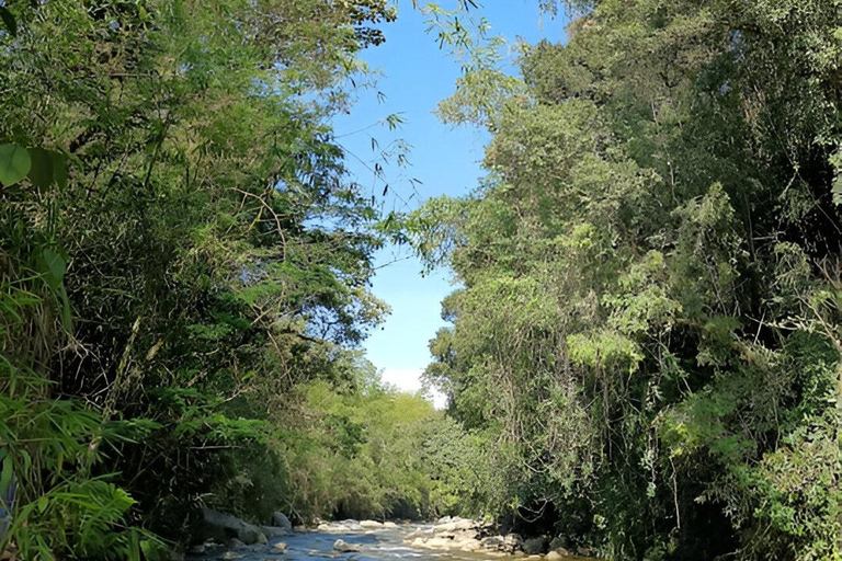 MEDELLIN: DAWN GARDEN TOUR WITH VISIT TO BETANIA - 2 DAYS AND 1 NIGHT