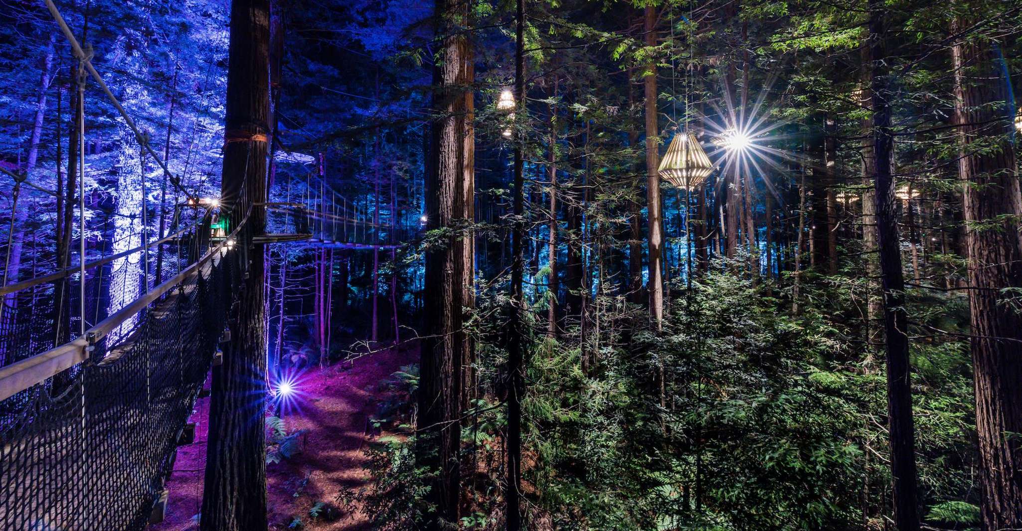 Rotorua, Redwoods Altitude & Day/Night Treewalk Combo - Hizvo
