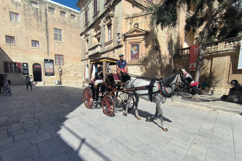 Malta's Highlights: Ancient Wonders, Cities & Coastal Charms Private Day Tour with Local Driver