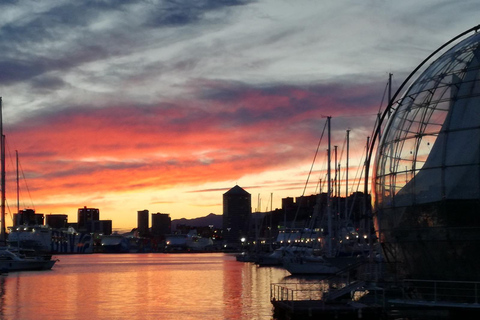Genoa: sunset cruise to admire the city with live music