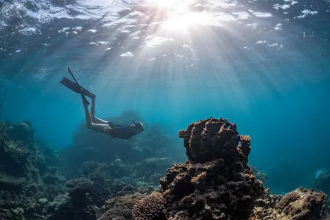 Bahía de Coral: Excursión de día completo al Arrecife Ningaloo con Manta Rayas