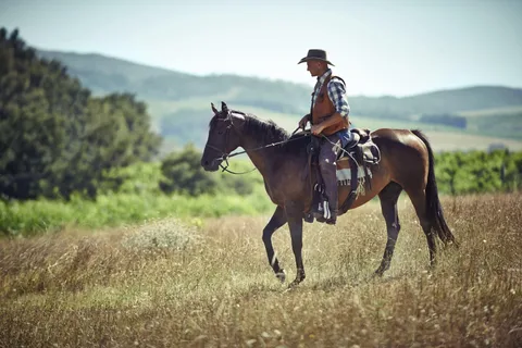 Agadir: Paseos Guiados a Caballo por el Bosque y las Dunas de Arena