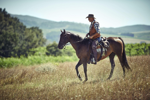 Agadir: Beach and Ranch Horse Riding Tour From Taghazout