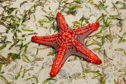 Grotta di Salam, Laguna Blu, Spiaggia delle Stelle Marine e Ristorante The Rock