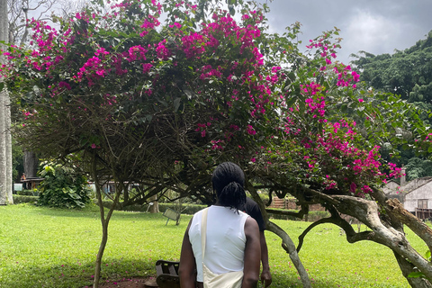 Gana: excursão de 8 dias em dezembro com Afrofuture/vida noturna