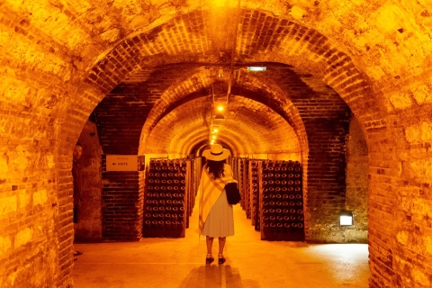 Paris: Private Day Trip to Champagne with 8 Tastings & Lunch
