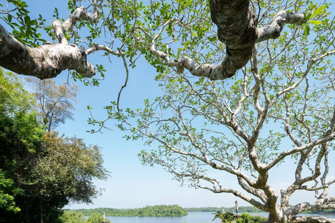 Colombo: South Coast Creative Heritage Journey (Bawa Trail)