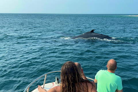 Maputo: Excursión de un día a Santa María, Inhaca y la Isla Portuguesa