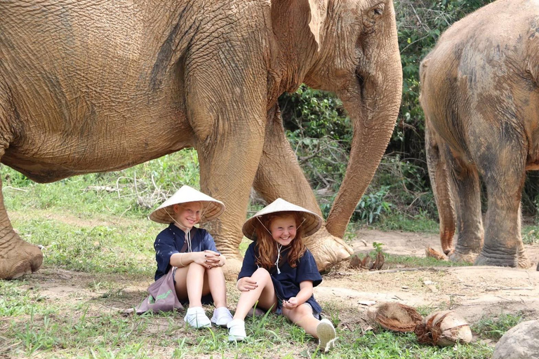 Koh Samui: Ethical Elephant Home Guided Tour with Transfers
