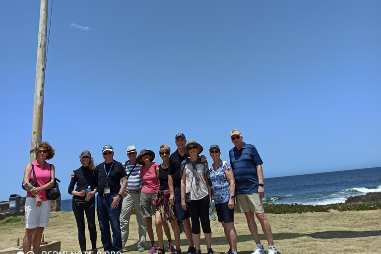 Punta del Este: Secret Night Tour Secret Night Tour