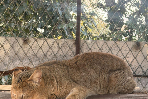 Pokhara:Zoological Park & Lake Suspension Bridge Guided Tour