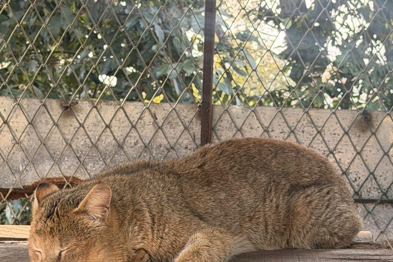 Pokhara:Zoological Park & Lake Suspension Bridge Guided Tour