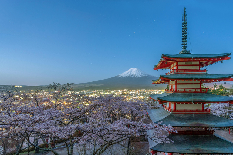 From Tokyo: Mount Fuji Full Day Customizable Private Tour