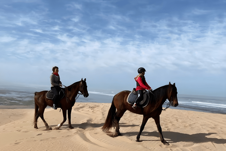 Doha: Desert Horse Riding with Beach Games & Sunset