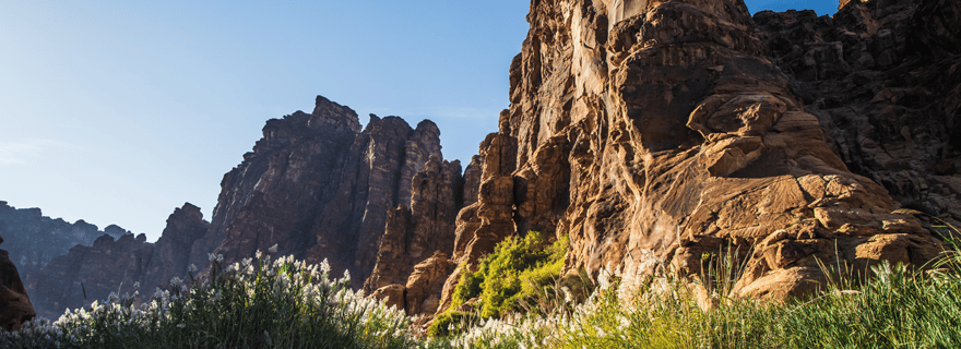 Tabuk : vallée d'Al Disah et Grand Canyon d'Alshaq avec déjeuner