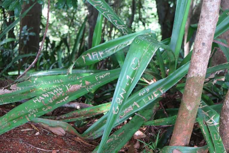 The Seven Waterfalls Hiking : Mauritius' Hidden Wonders
