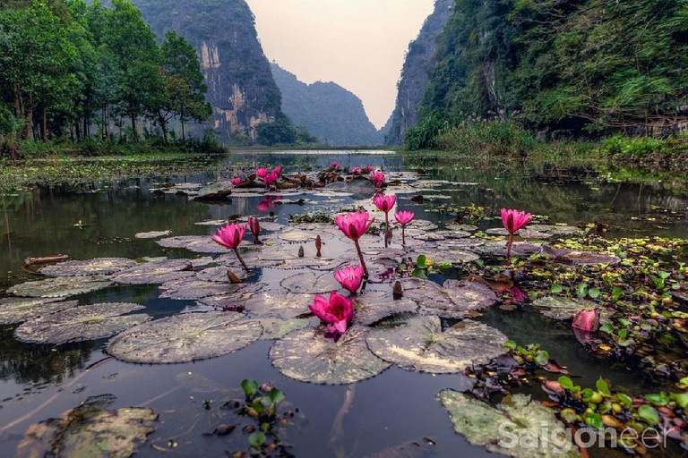 Ha Noi: Ninh Binh Wycieczka 1-dniowa/ Hoa Lu &amp; Tam Coc/ Pełna obsługaFriendly Travel: Hoa Lu i Tam Coc - 1-dniowa wycieczka z lunchem,