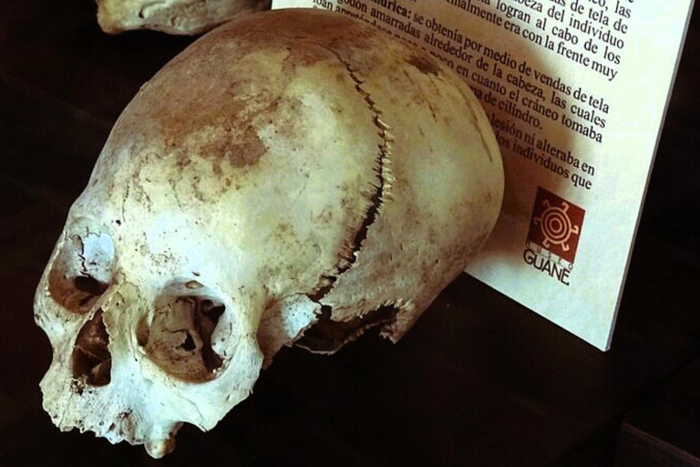 Camino Real : Randonnée Barichara-Guane + Musée Paléontologique