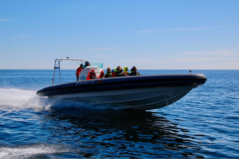 Helsinki: Private RIB Boat Cruise with Snacks and Drinks